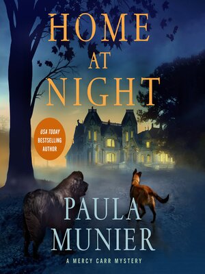 cover image of Home at Night